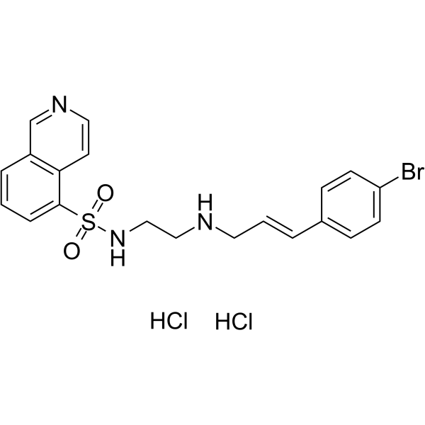 H-89 dihydrochlorideͼƬ