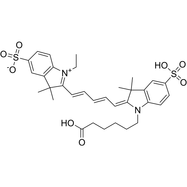 CY5图片