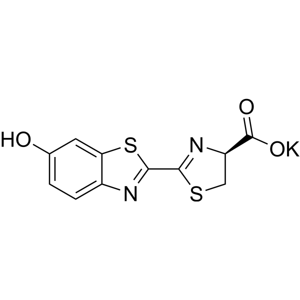 D-Luciferin potassiumͼƬ