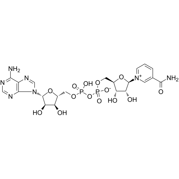 NAD+ͼƬ