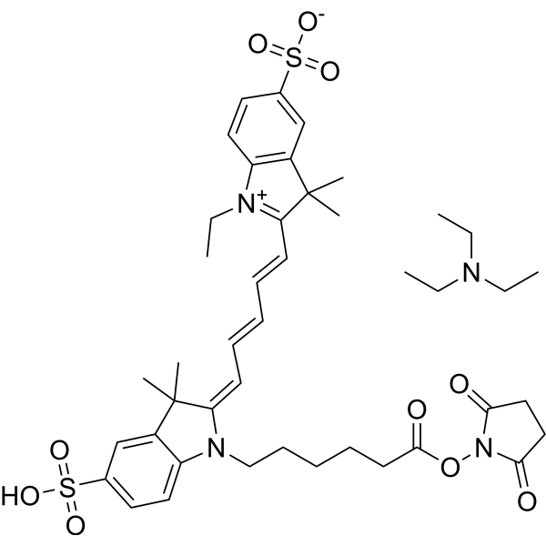 CY5-SE triethylamine salt图片