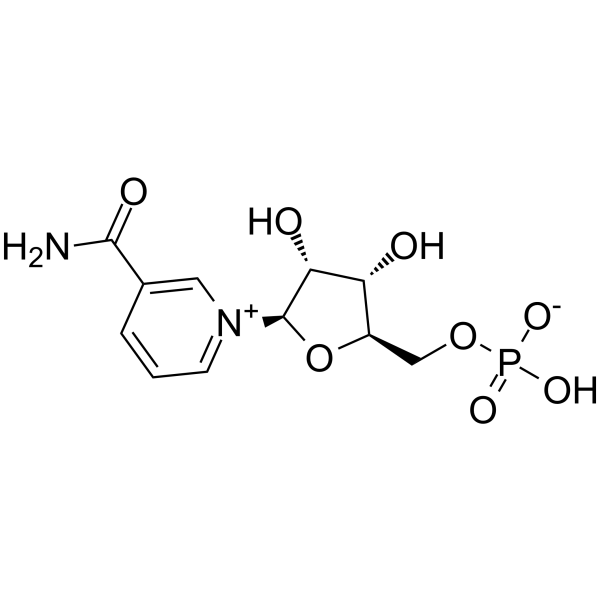 -Nicotinamide mononucleotideͼƬ