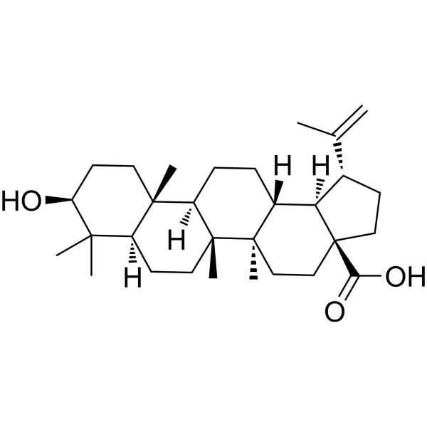 Betulinic acidͼƬ