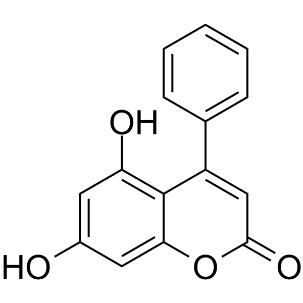 LC3-mHTT-IN-AN2ͼƬ