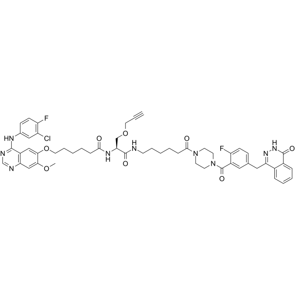 PROTAC PARP/EGFR ligand 1ͼƬ