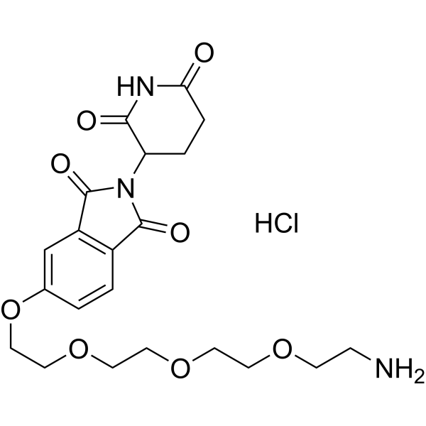 Thalidomide-5-PEG4-NH2 hydrochlorideͼƬ