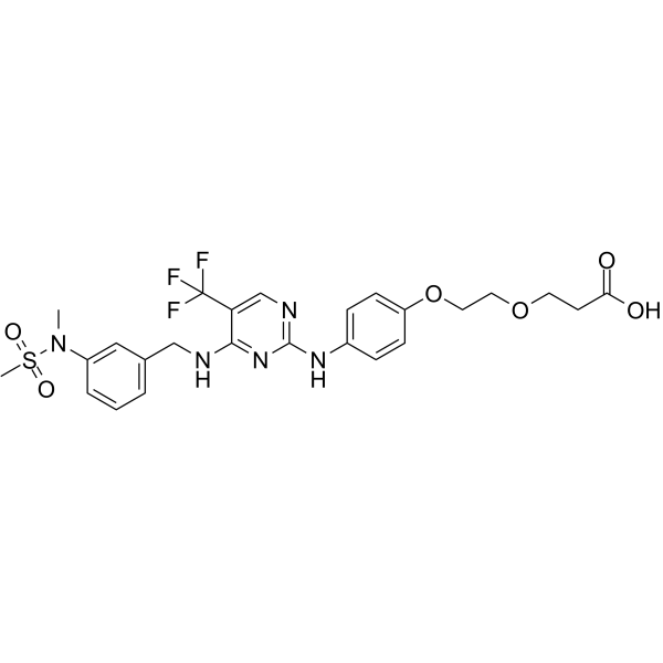 FAK ligand-Linker Conjugate 1ͼƬ