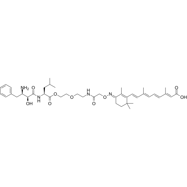 PROTAC CRABP-II Degrader-1图片