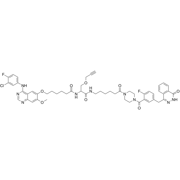 (Rac)-PROTAC PARP/EGFR ligand 1ͼƬ