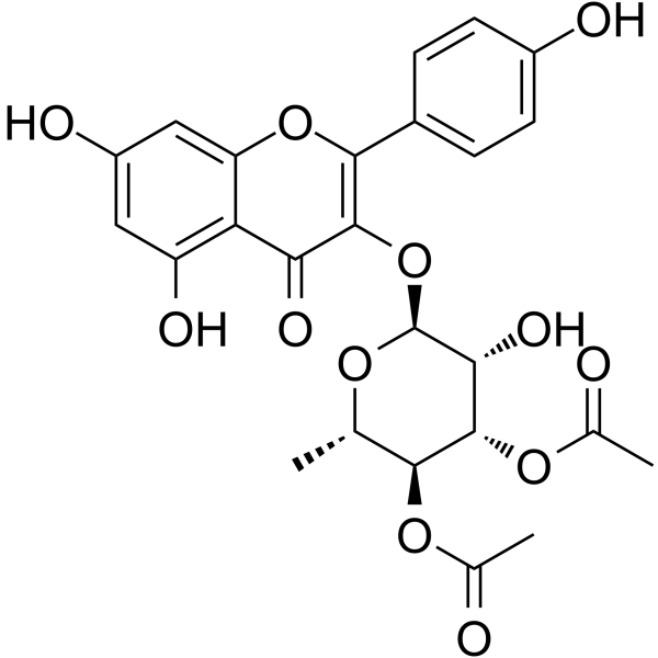 SL 0101-1图片