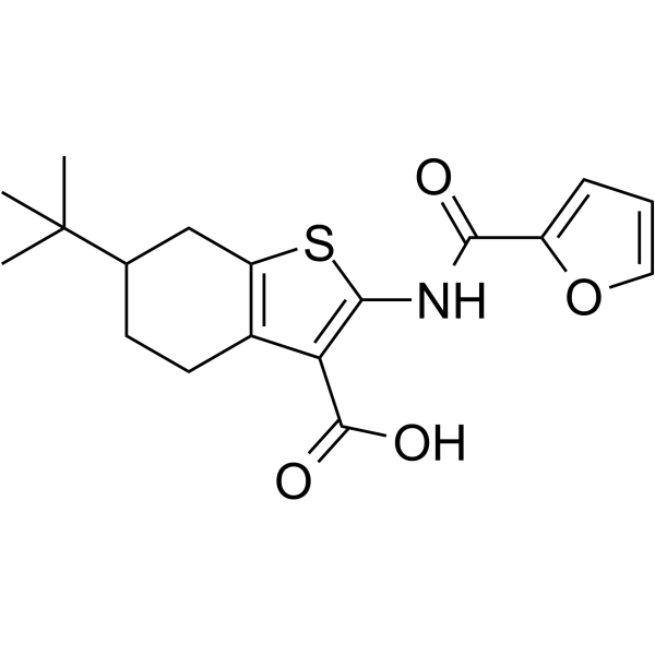 CaCCinh-A01图片