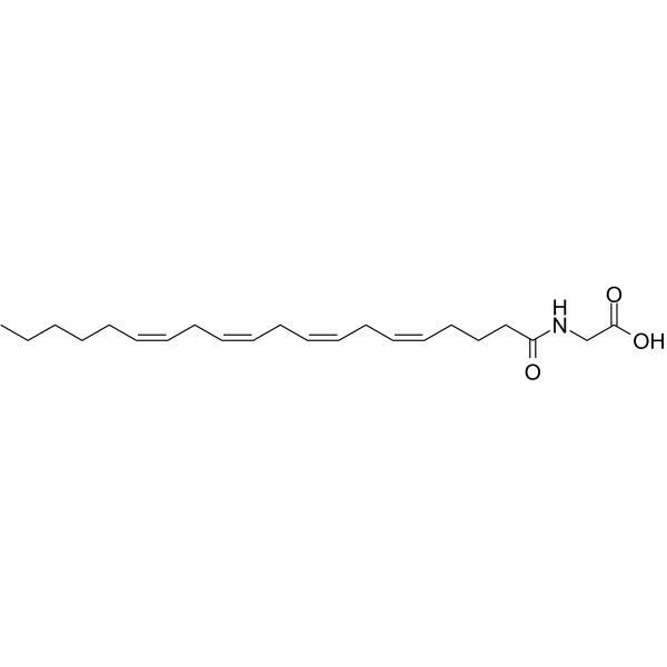 N-ArachidonylglycineͼƬ