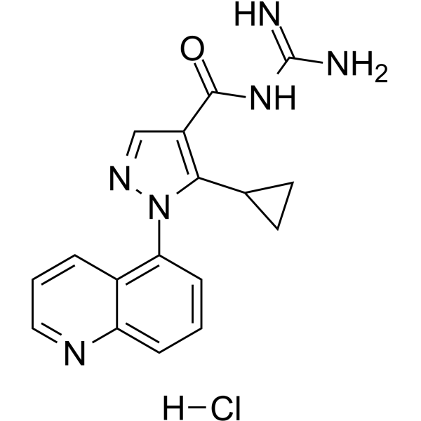 Zoniporide hydrochlorideͼƬ