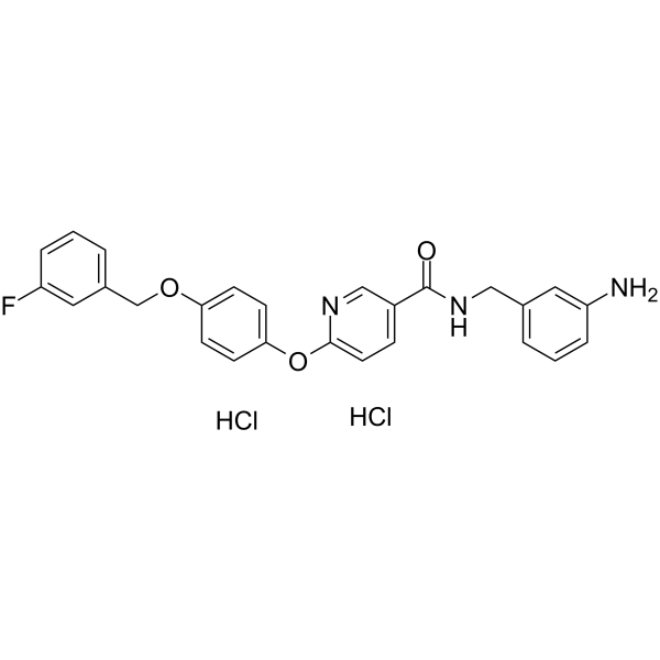 YM-244769 dihydrochlorideͼƬ