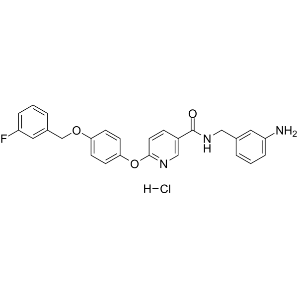 YM-244769 hydrochlorideͼƬ