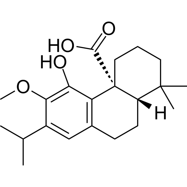 12-O-Methylcarnosic acidͼƬ