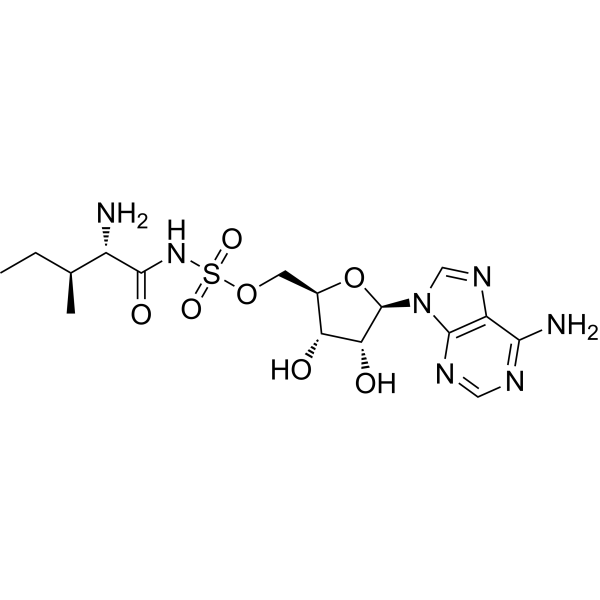 Aminoacyl tRNA synthetase-IN-1ͼƬ