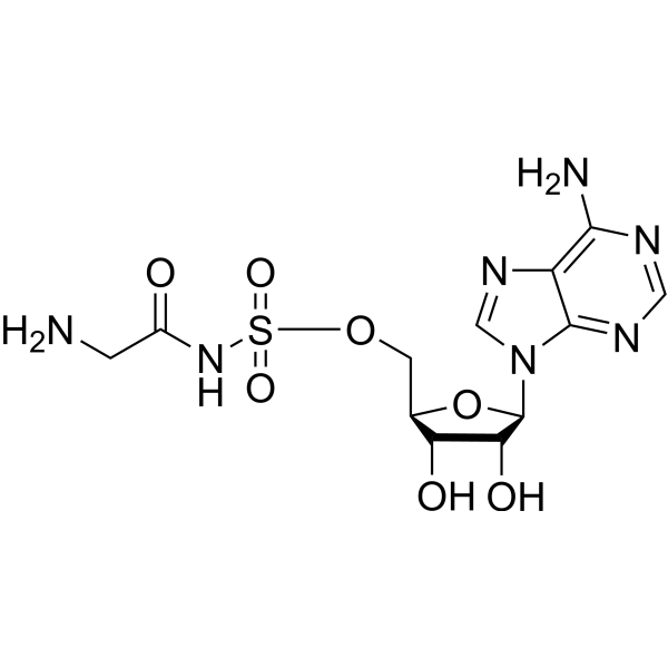 GlyRS-IN-1ͼƬ