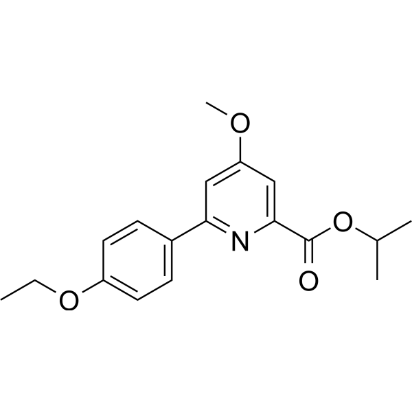 NG-497ͼƬ