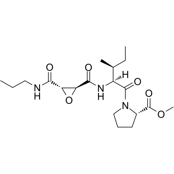 CA-074 Methyl EsterͼƬ