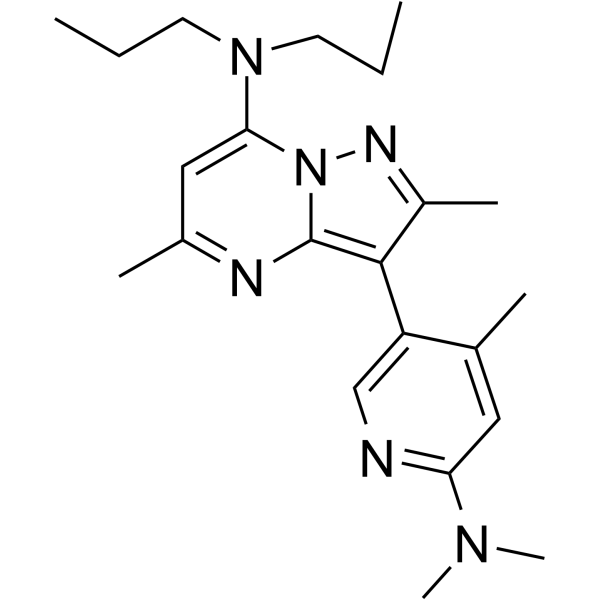 R121919ͼƬ