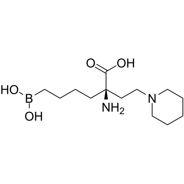 Arginase inhibitor 1ͼƬ