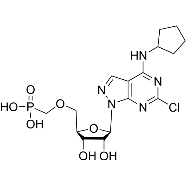 CD73-IN-4ͼƬ