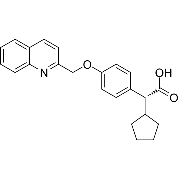 VeliflaponͼƬ