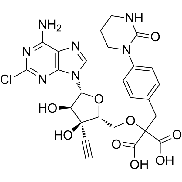 CD73-IN-14ͼƬ