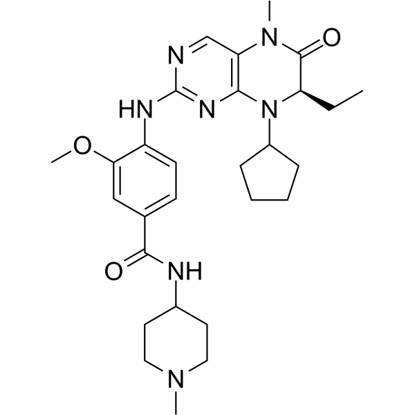 BI 2536ͼƬ