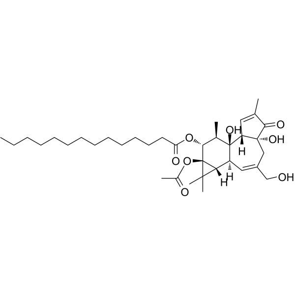 Phorbol 12-myristate 13-acetateͼƬ