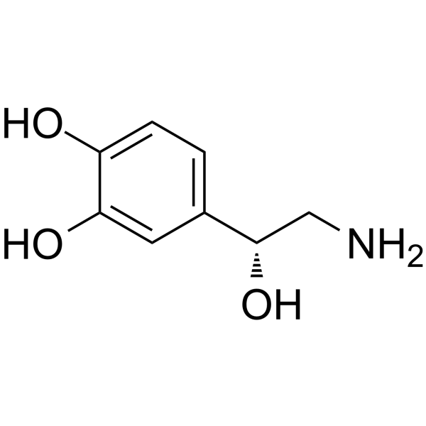 NorepinephrineͼƬ
