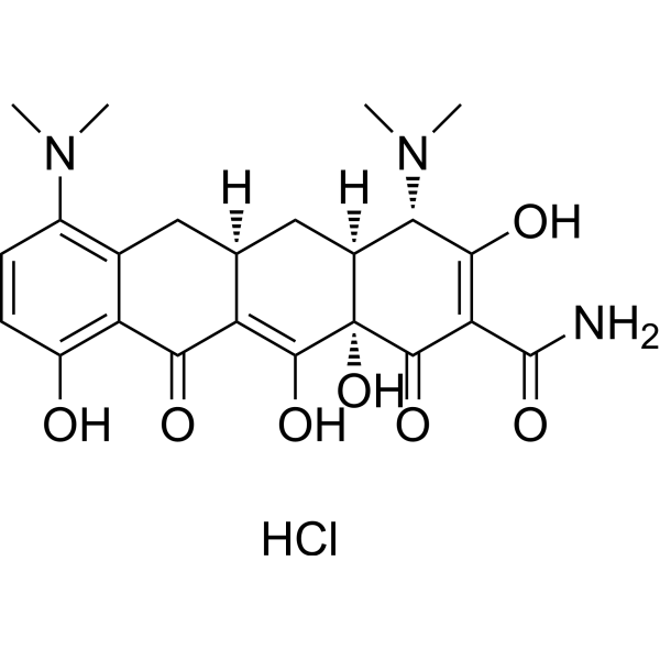 Minocycline hydrochlorideͼƬ