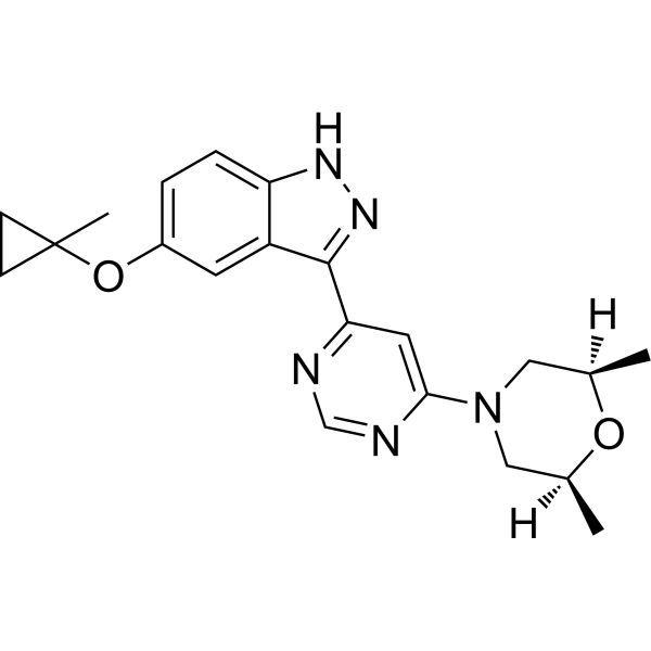 MLi-2ͼƬ