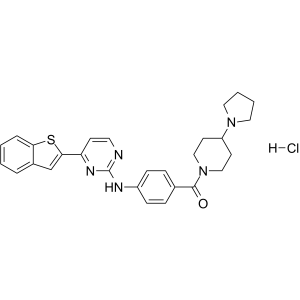 IKK 16 hydrochlorideͼƬ