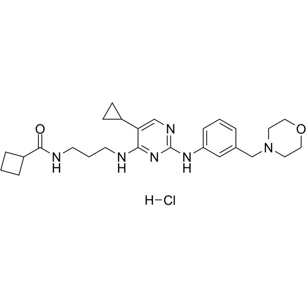 MRT67307 hydrochlorideͼƬ