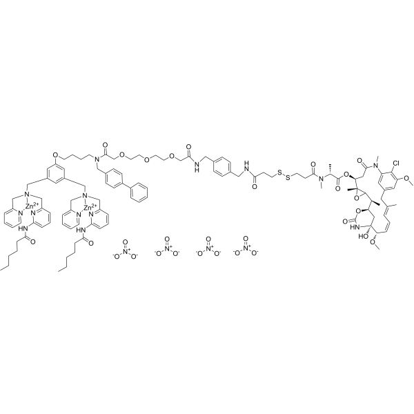 Zn-DPA-maytansinoid conjugate 1ͼƬ