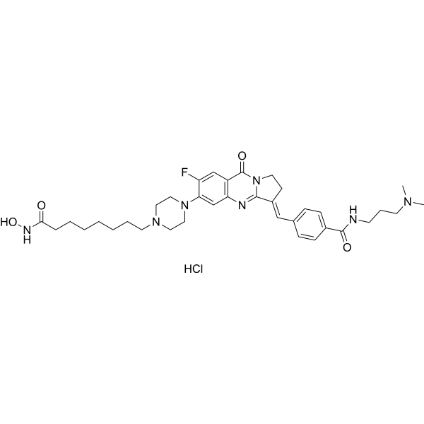 G4/HDAC-IN-1ͼƬ