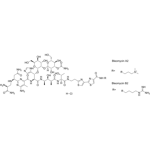 Bleomycin hydrochlorideͼƬ