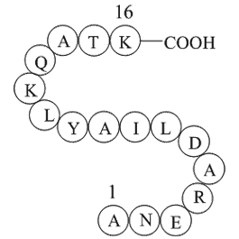 Cytochrome c fragment(93-108)ͼƬ