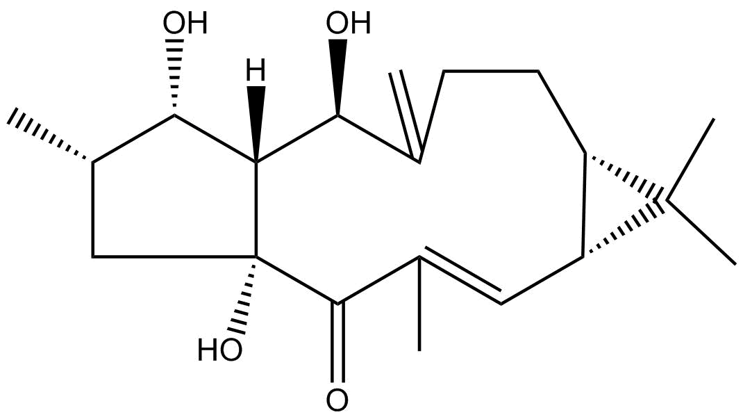 LathyrolͼƬ