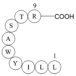 immunoglobulin light chain variable region fragment [Homo sapiens]/[Mus musculus]ͼƬ