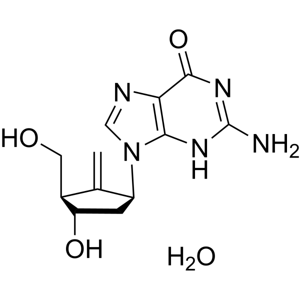 Entecavir monohydrateͼƬ