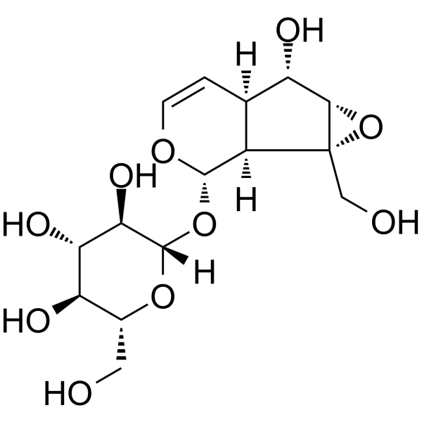 CatalpolͼƬ