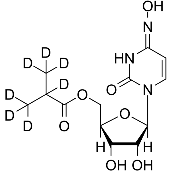 Molnupiravir-d7ͼƬ