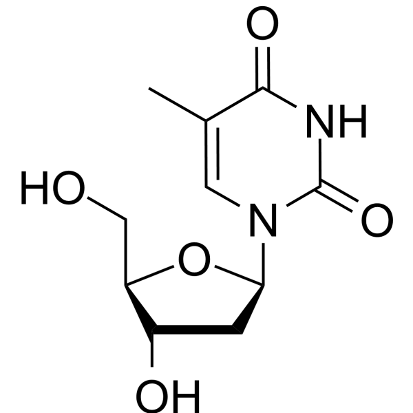 ThymidineͼƬ