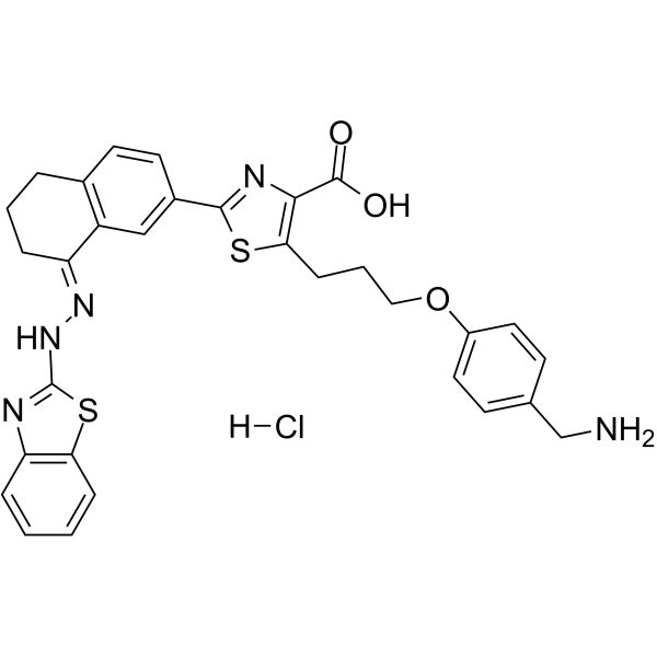 WEHI-539 hydrochlorideͼƬ