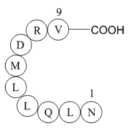 eukaryotic translation initiation factor 3ͼƬ