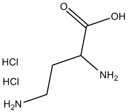 DL-Dab,2HCl图片