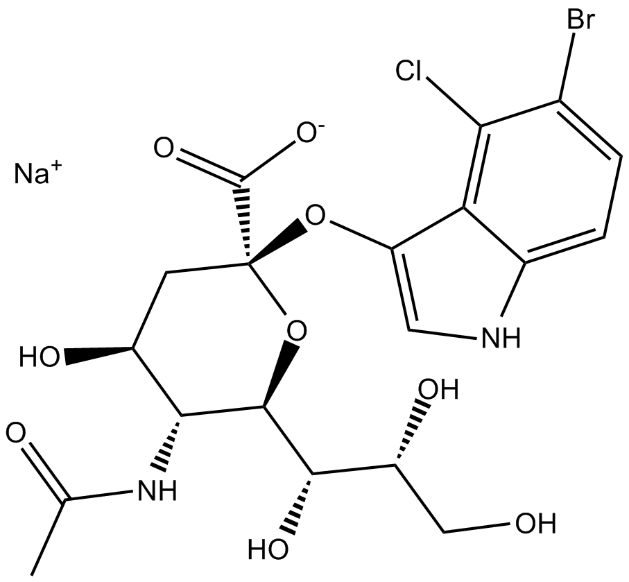 X-NeuNAc图片